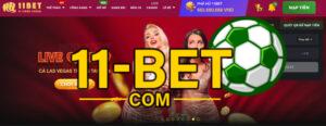 Ý nghĩa của domain 11bet.us